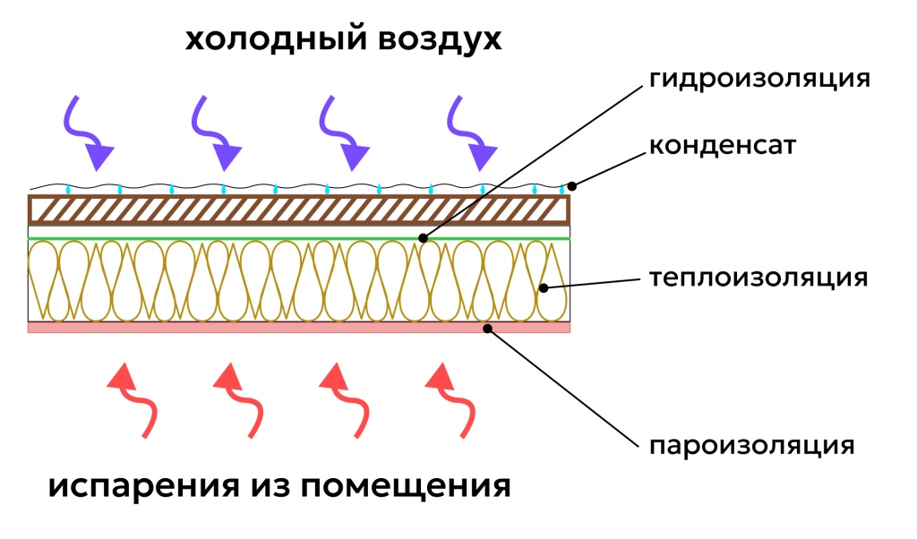 Group 343.jpg